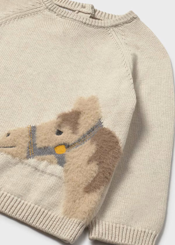 Horse Sweater