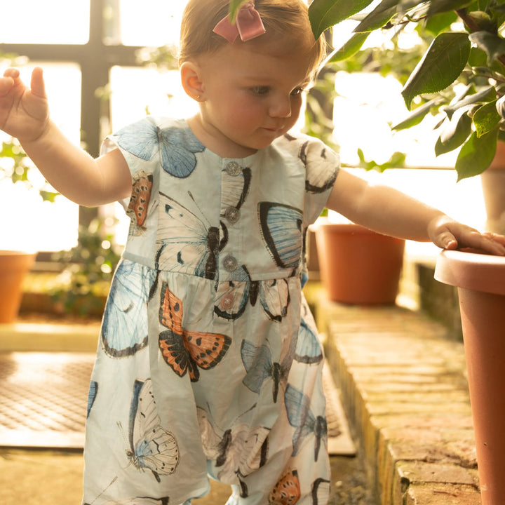 Alexandra Jumper Vintage Blue Butterflies