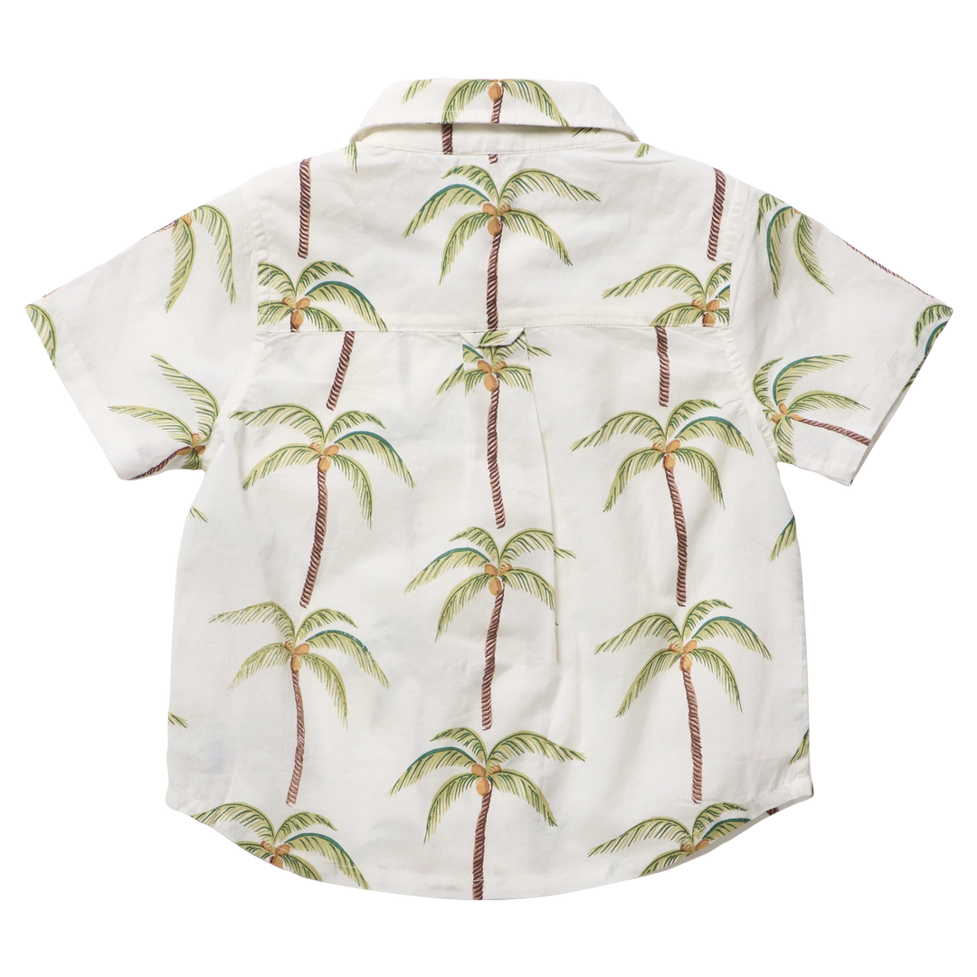 Baby Boys Jack Shirt Cream Palm Trees