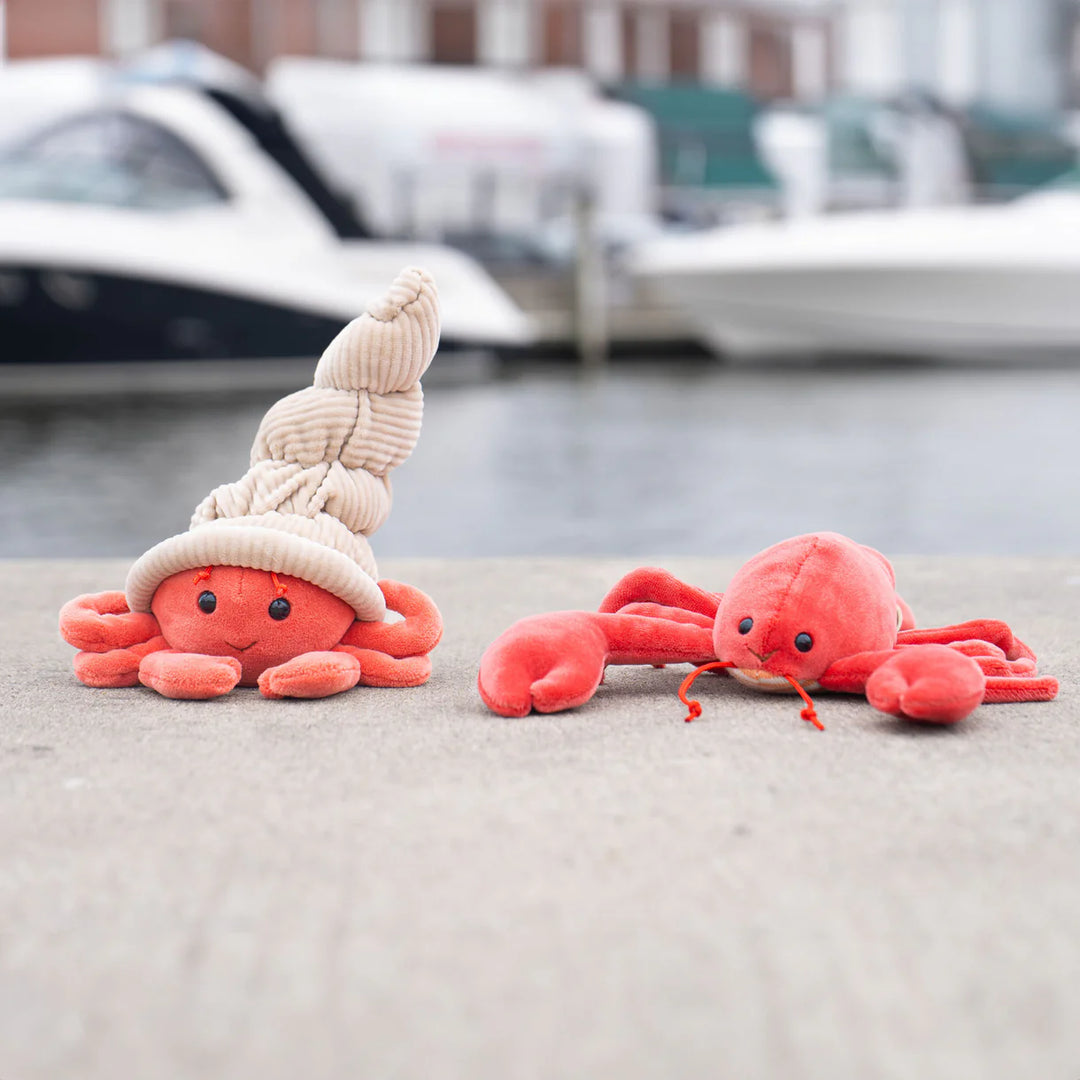Hermit Crab