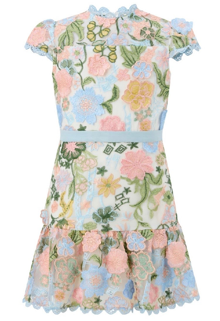 Rosalie Embroidery Mini Dress