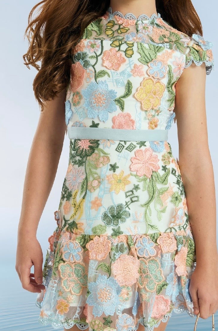 Rosalie Embroidery Mini Dress