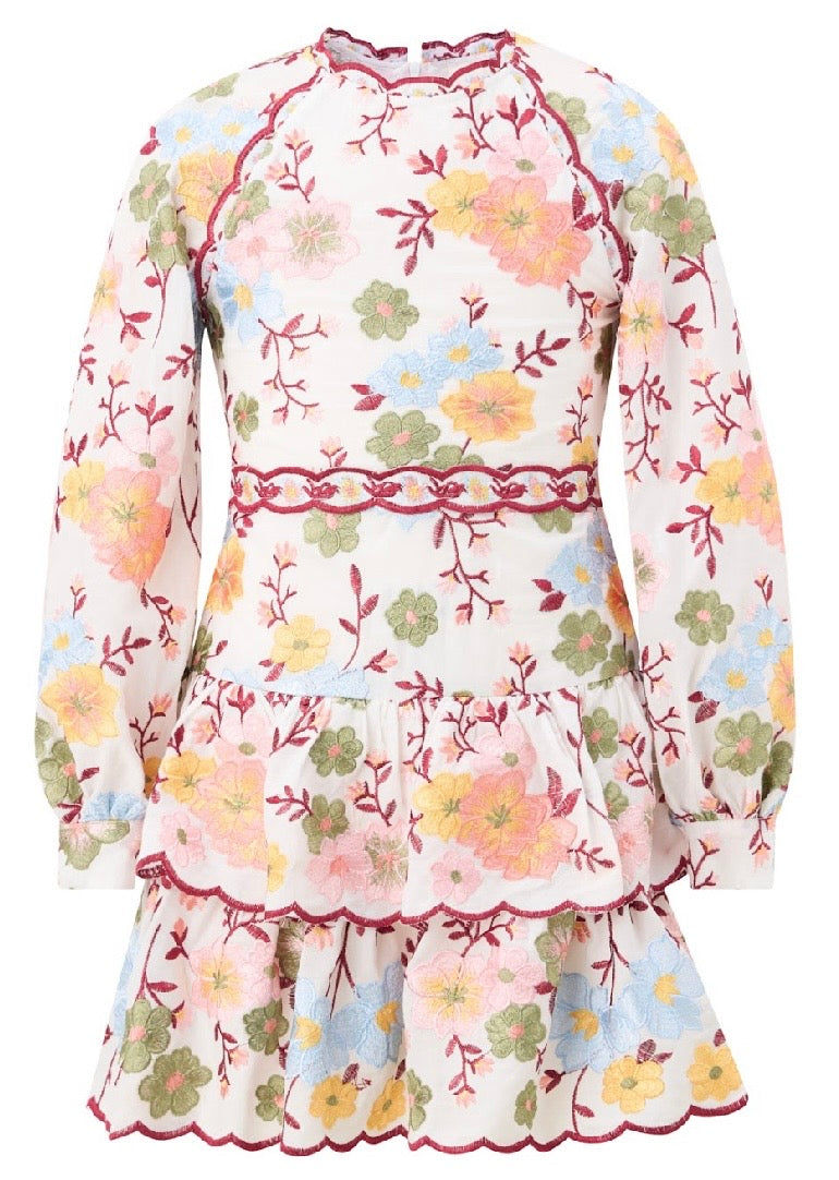 Penelope Cotton Embroidery Mini Dress