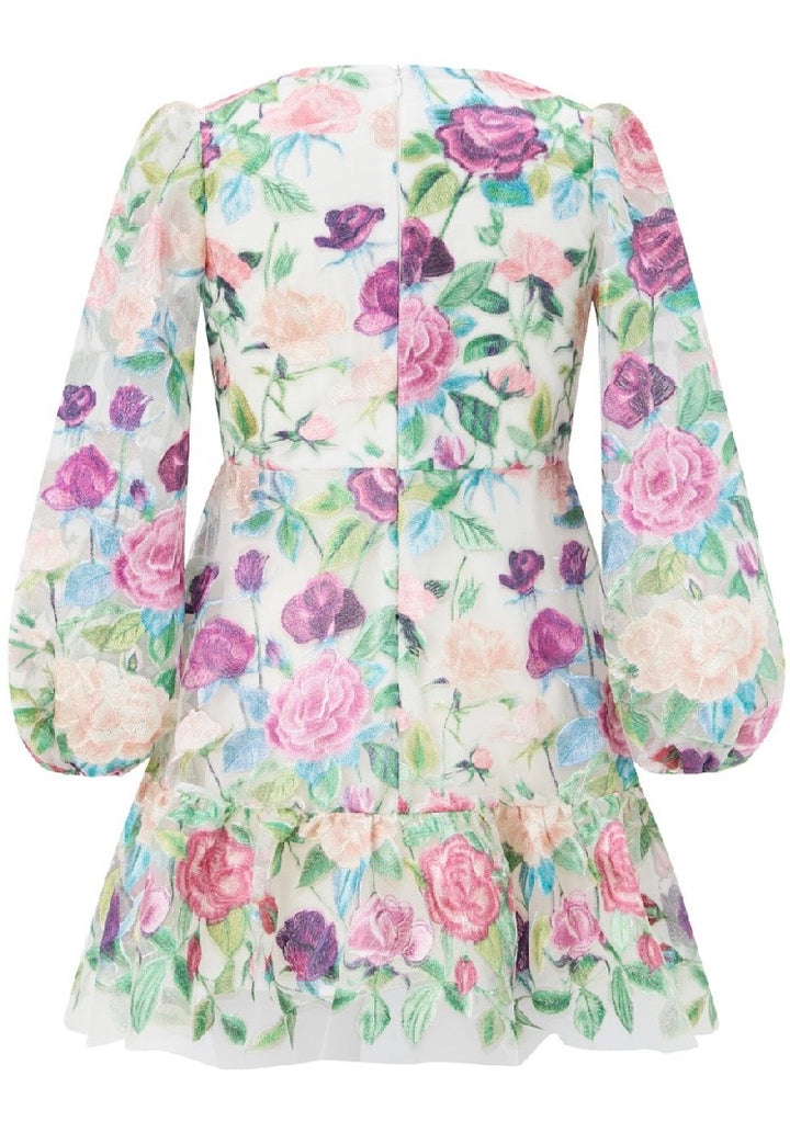 Rachelle Embroidered Mini Dress