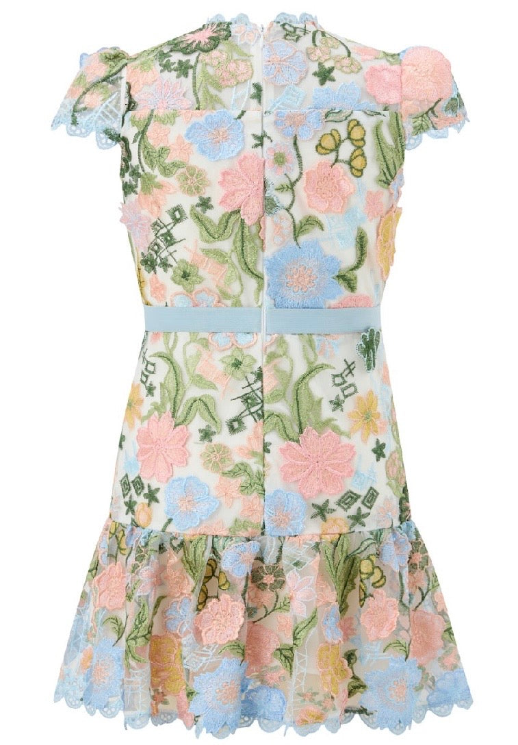 Rosalie Embroidery Mini Dress