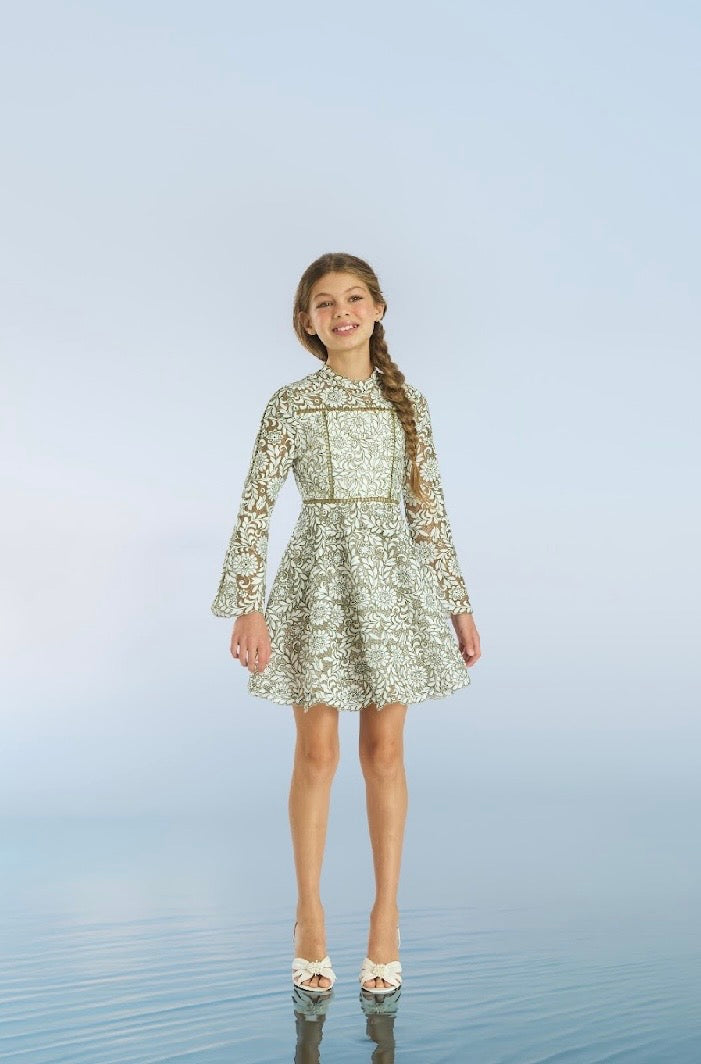 Primrose Embroidery Mini Dress