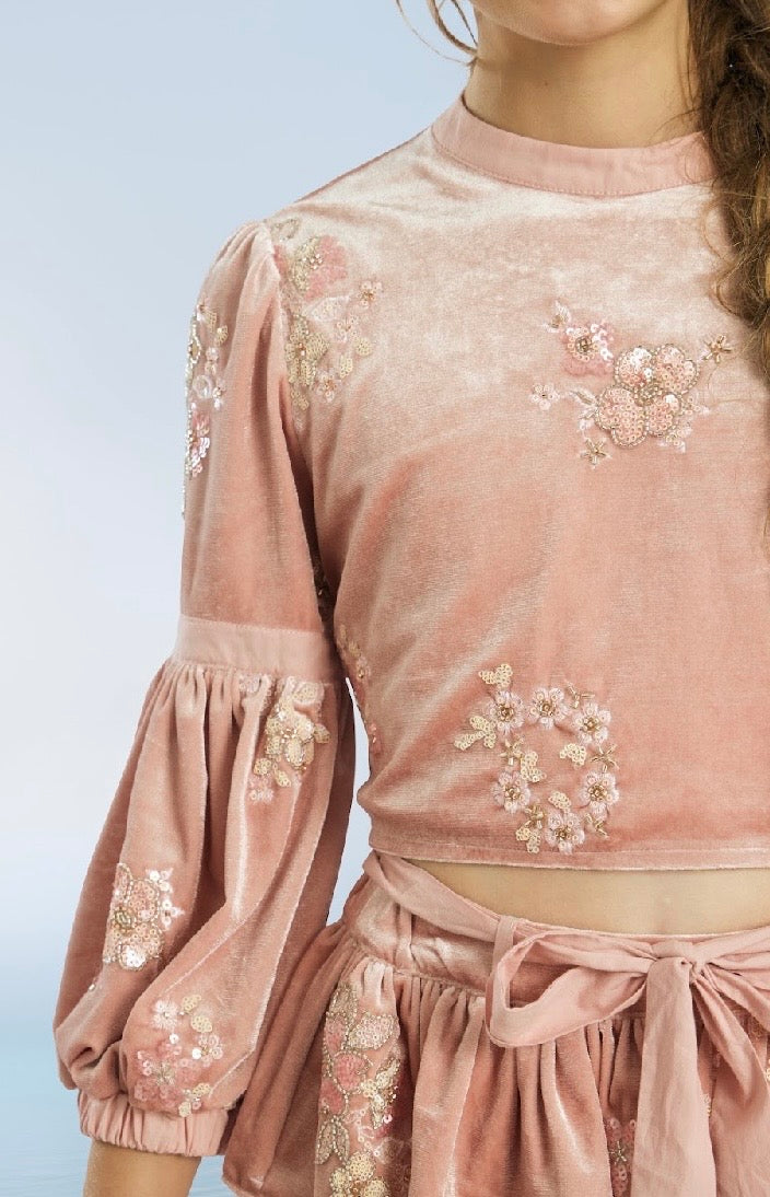 Destiny Velvet Top
