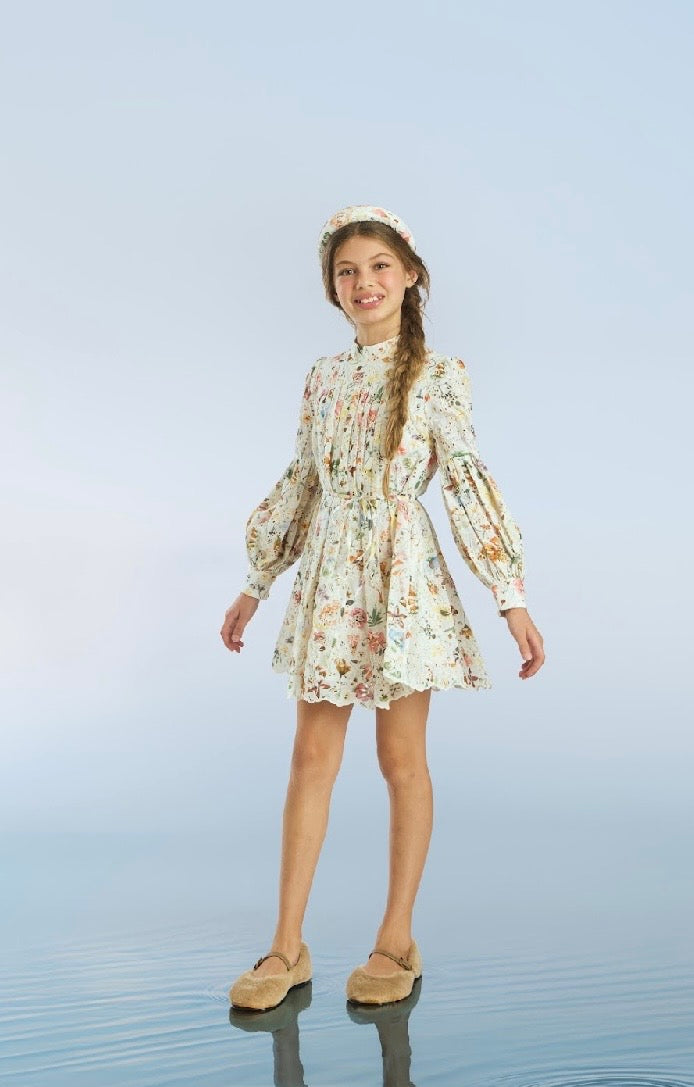 Christina Embroidery Mini Dress