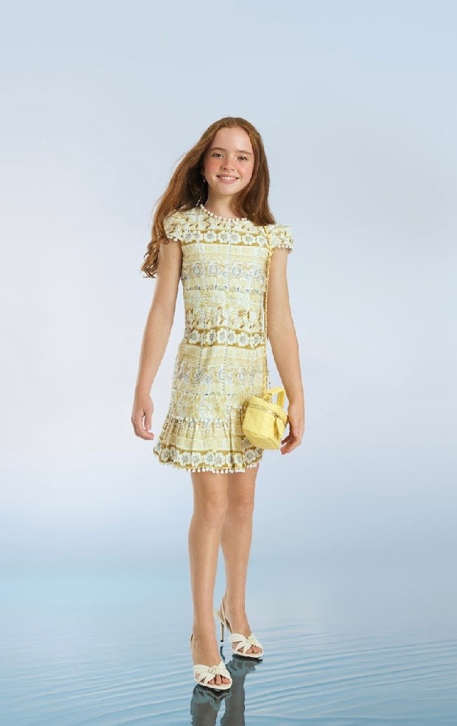 Lara Embroidery Mini Dress