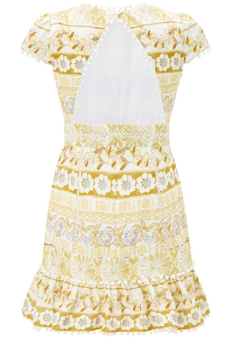 Lara Embroidery Mini Dress