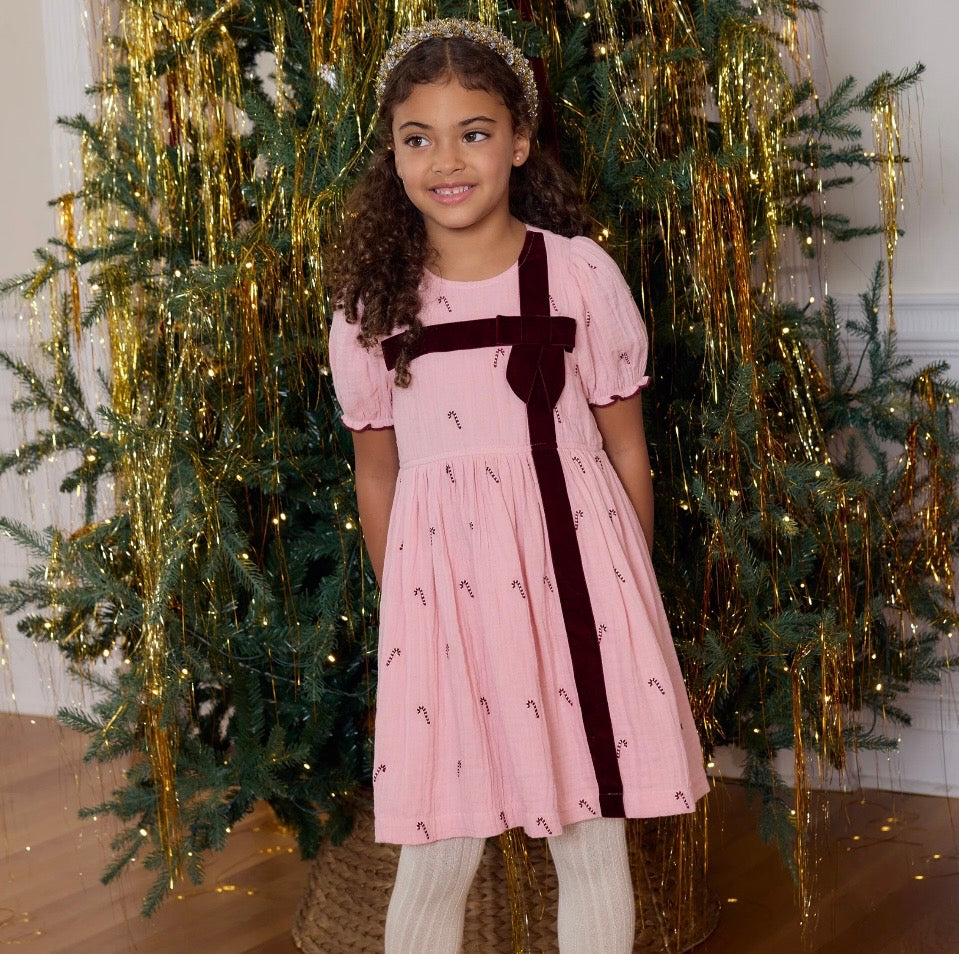 Liliana Dress Pink Velvet Bow