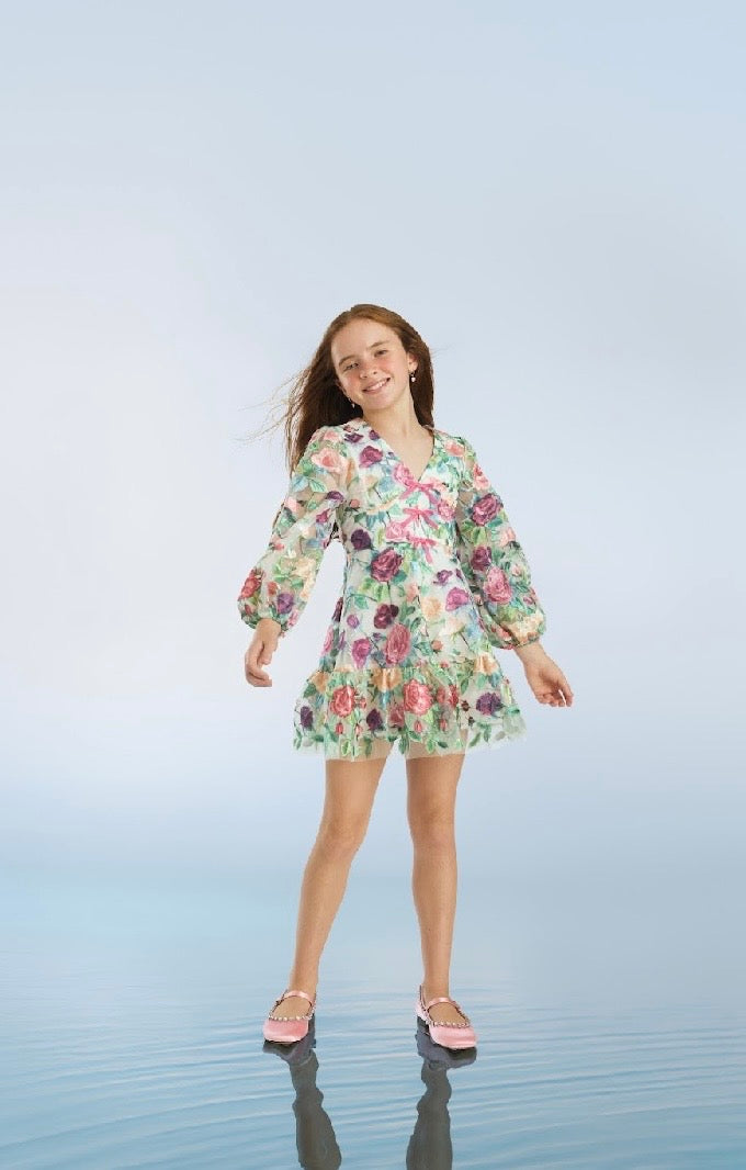 Rachelle Embroidered Mini Dress