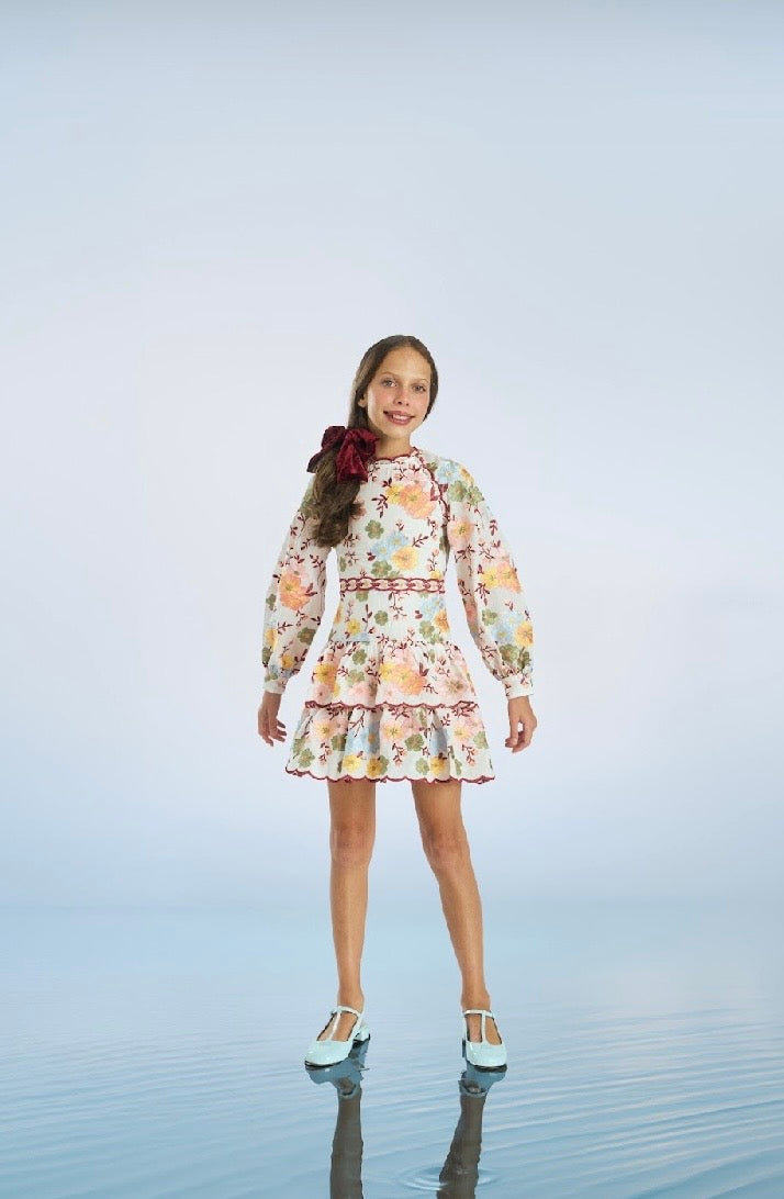 Penelope Cotton Embroidery Mini Dress