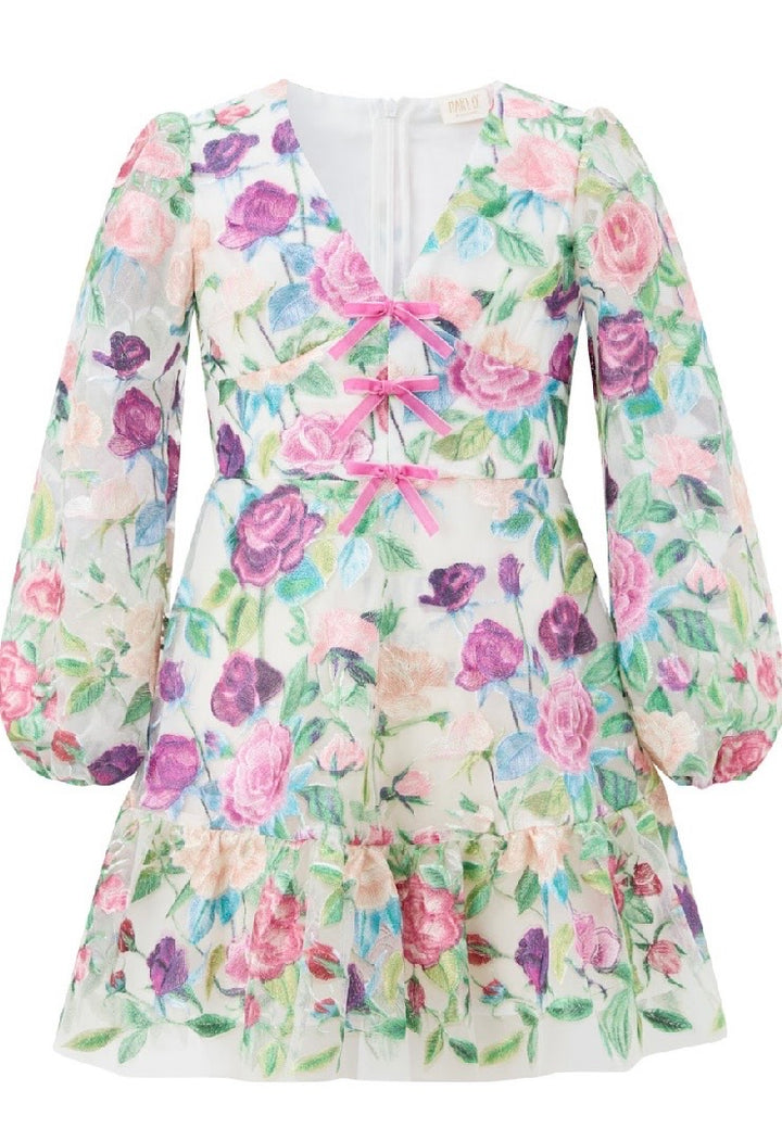 Rachelle Embroidered Mini Dress