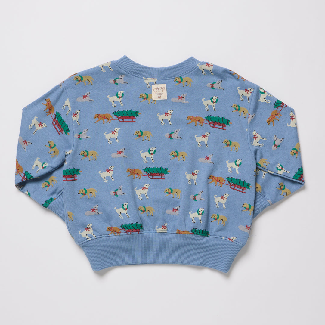Play Sweatshirt – Holiday Labs