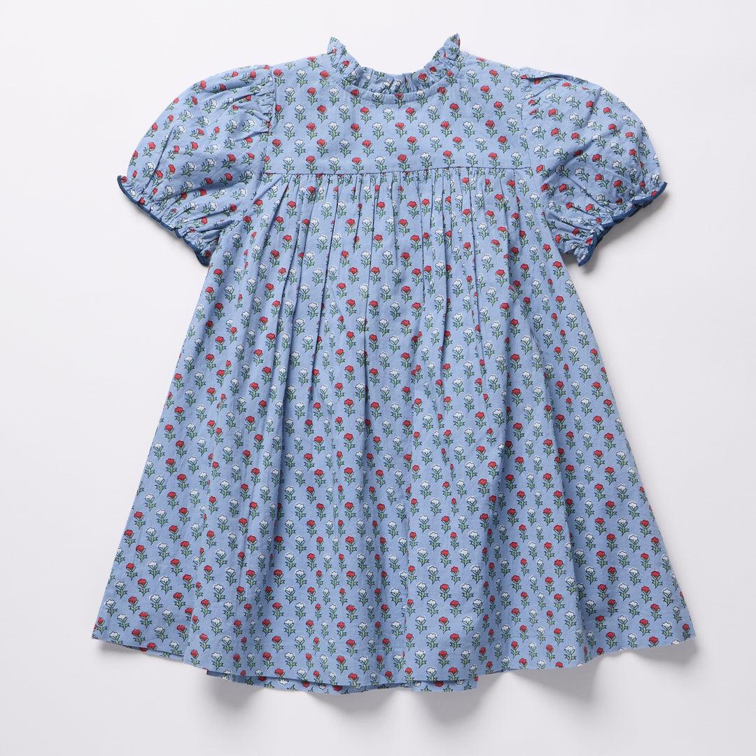 Lucia Dress – Light Blue Carnation
